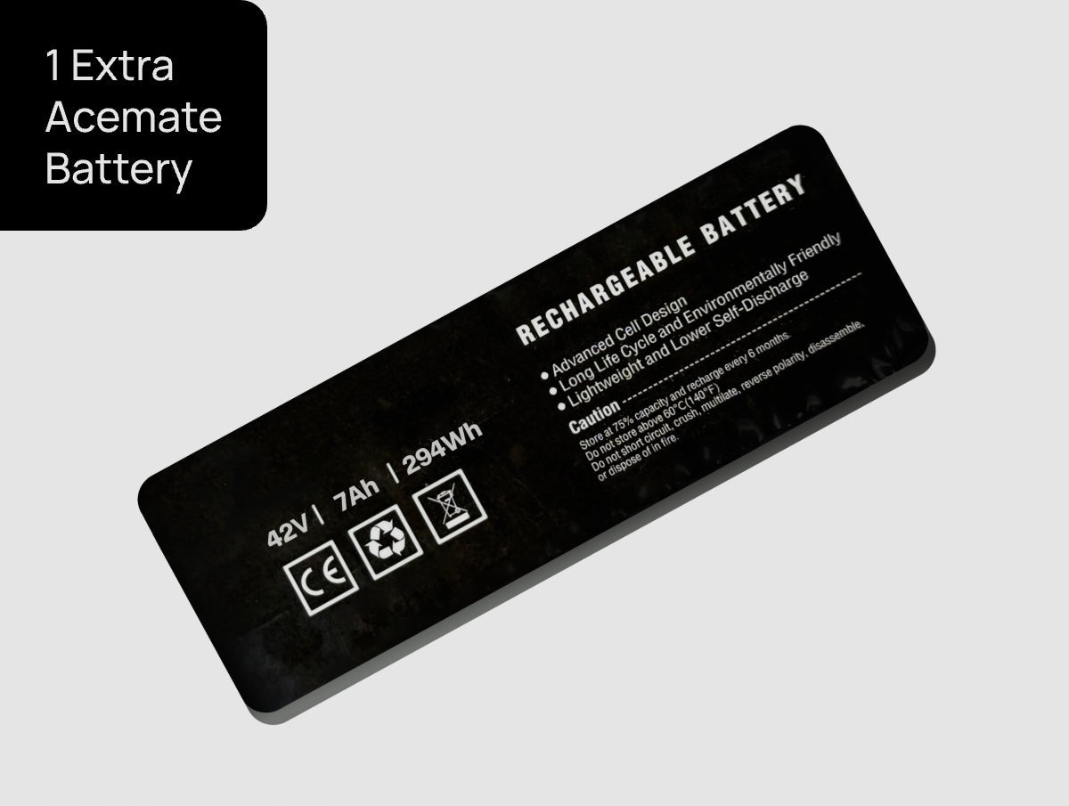 ACEMATE Extra Battery